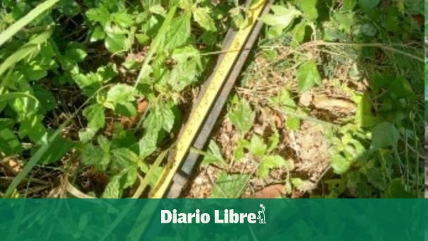 Apresan a haitiano acusado de matar a su madrastra en El Seibo