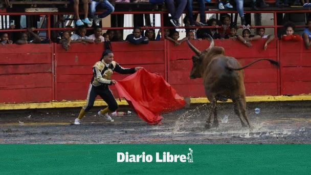 Inician los preparativos para las corridas de toros en El Seibo